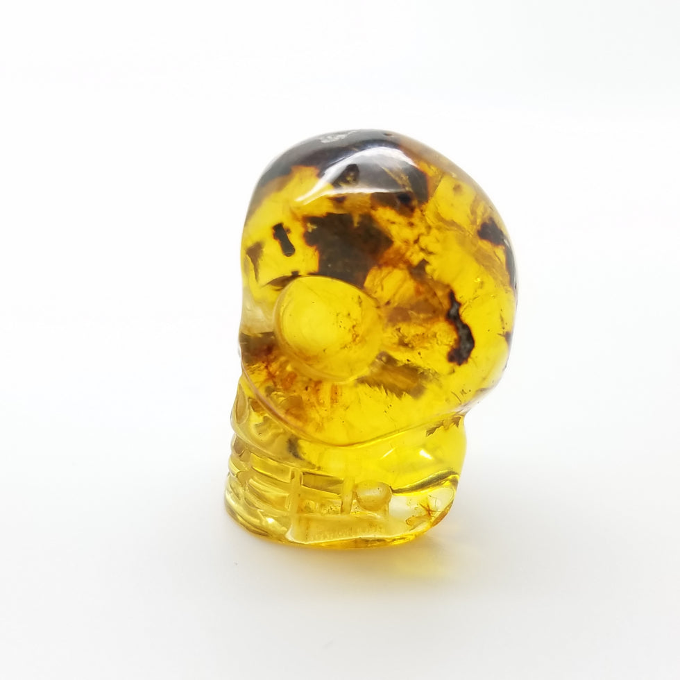 Skull Amber Carving - The Meteorite Traders