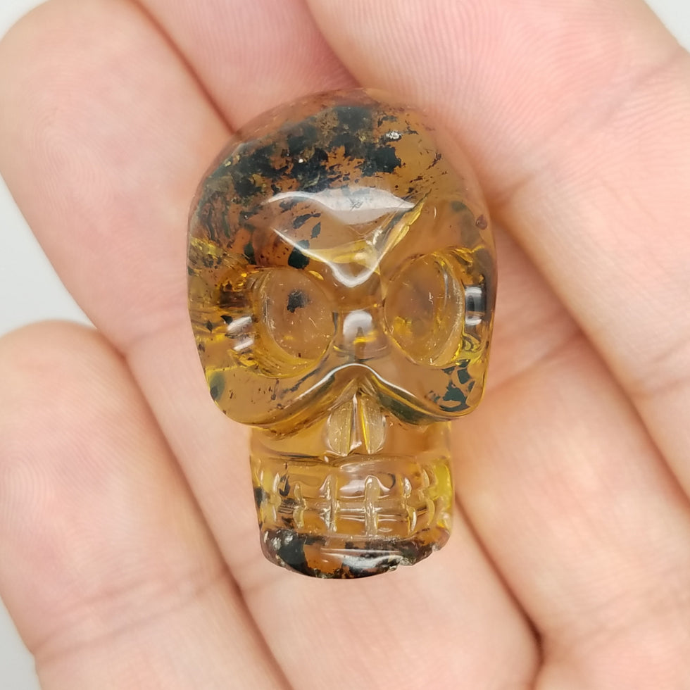 Large Skull Amber Carving - The Meteorite Traders