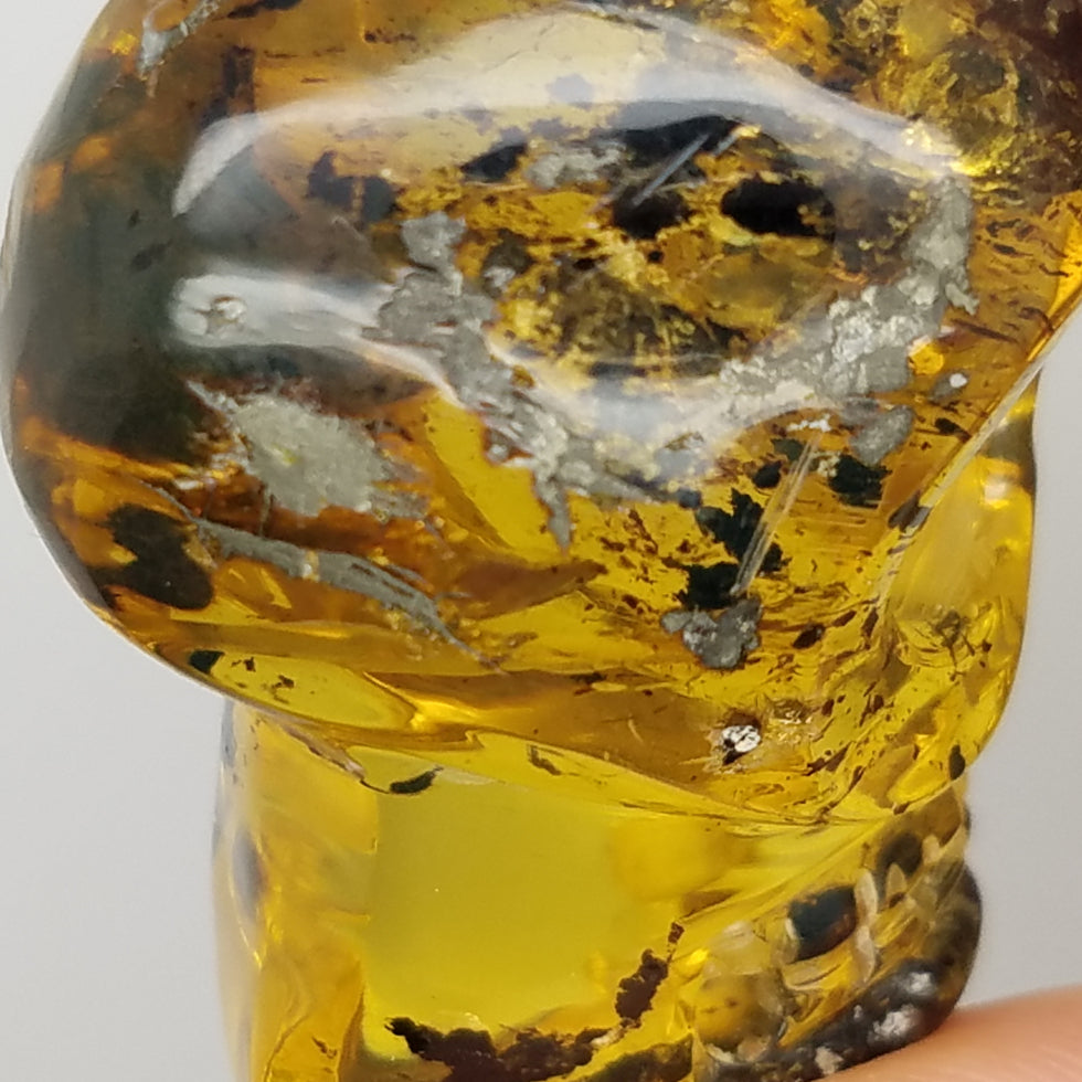 Large Skull Amber Carving - The Meteorite Traders