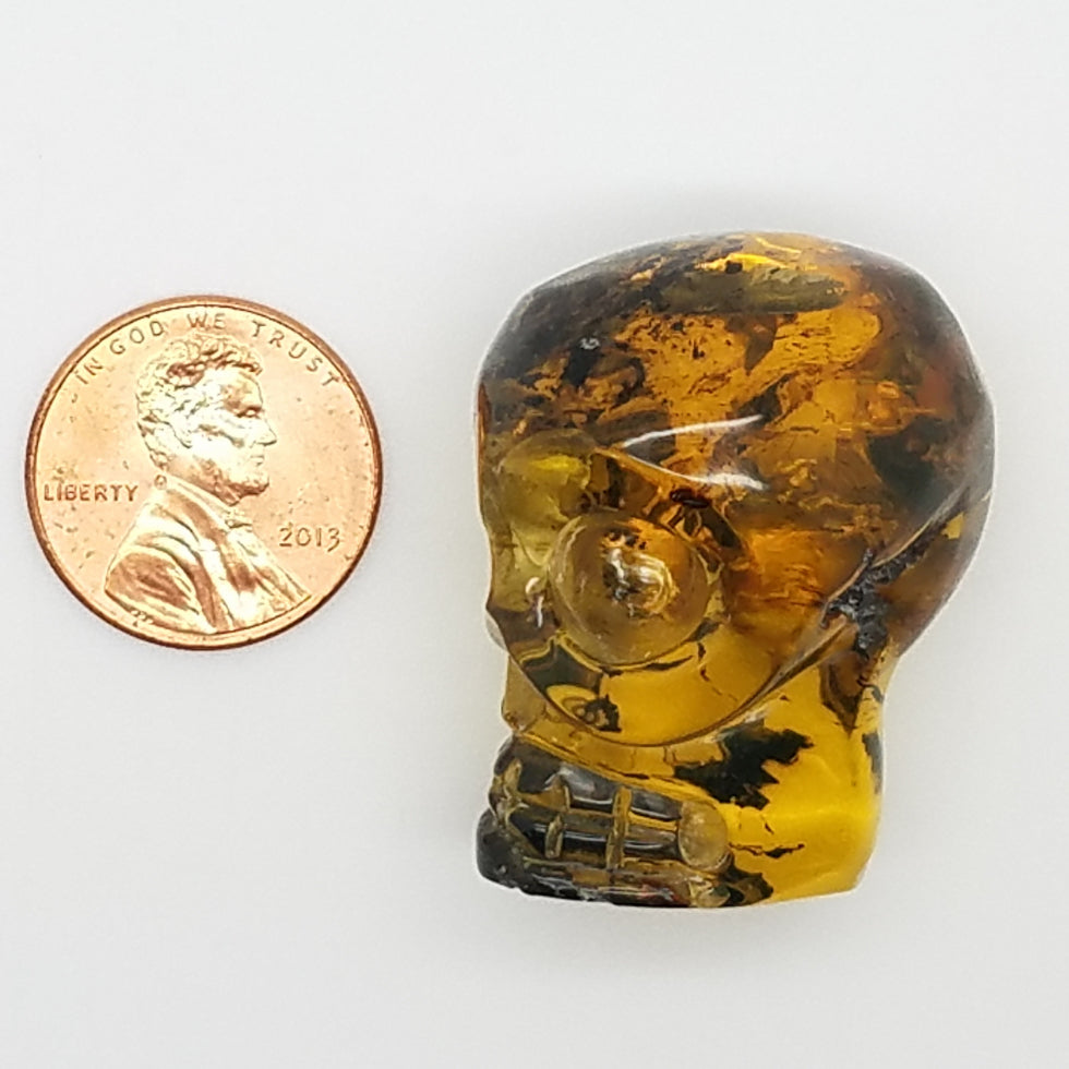 Large Skull Amber Carving - The Meteorite Traders