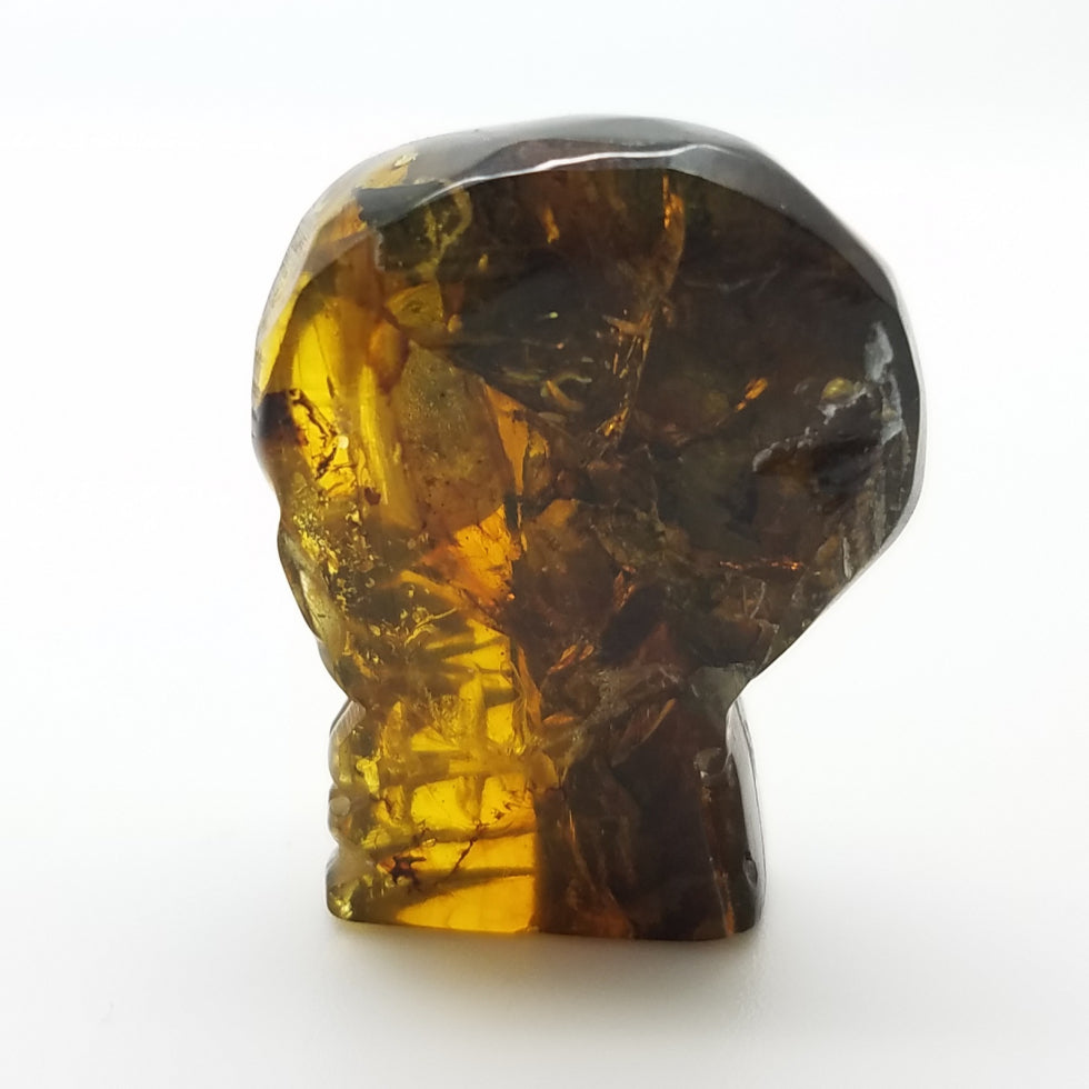 Skull Amber Carving Cabochon - The Meteorite Traders