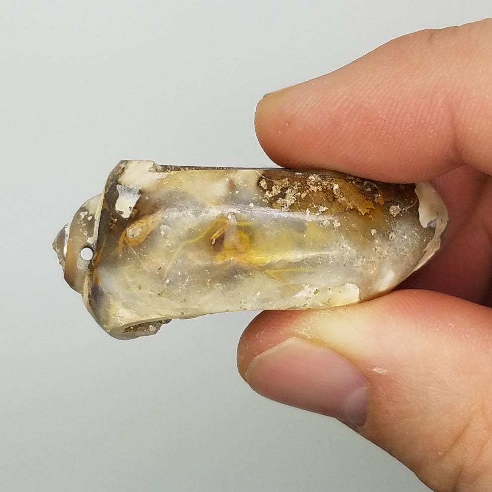 Medium Spiralite Aura Fossil - The Meteorite Traders