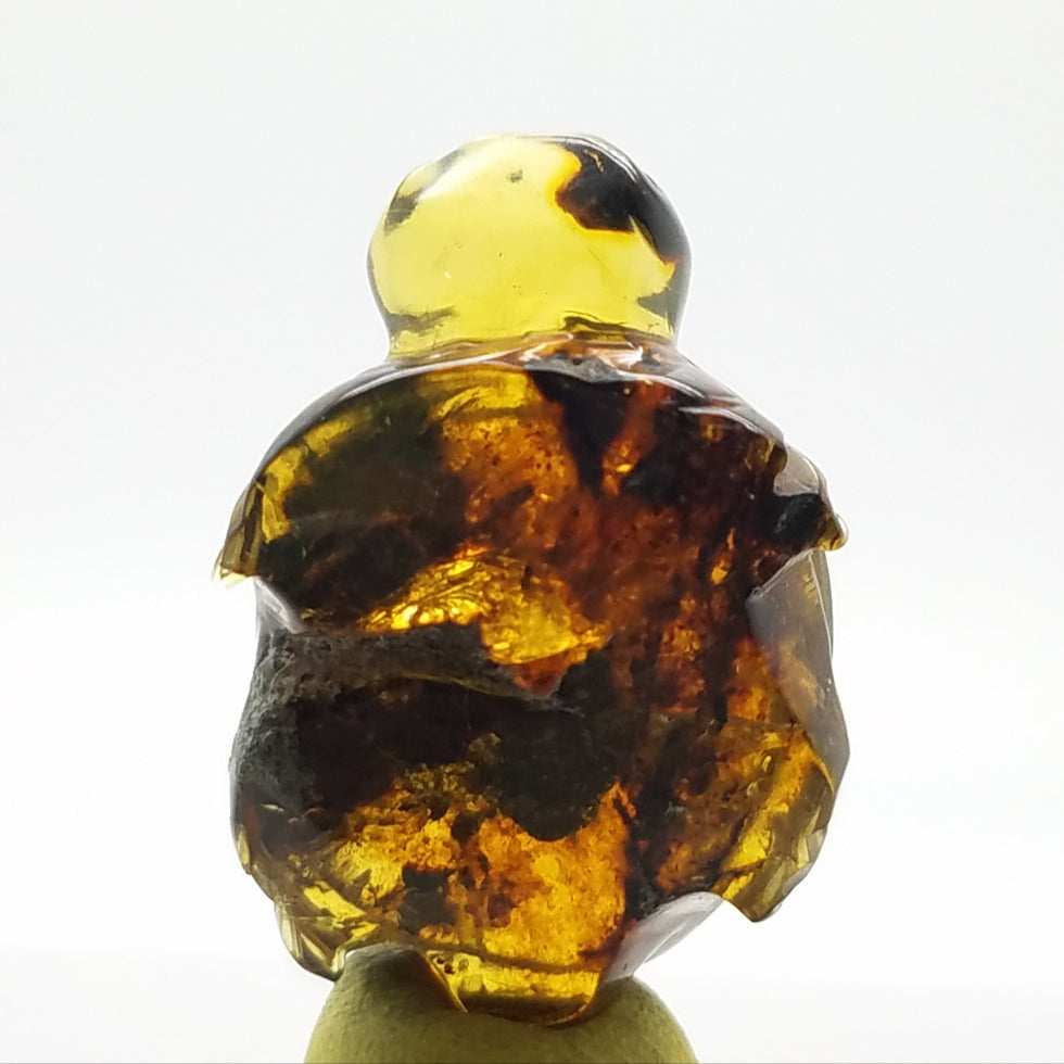 Carved Turtle in Amber - The Meteorite Traders