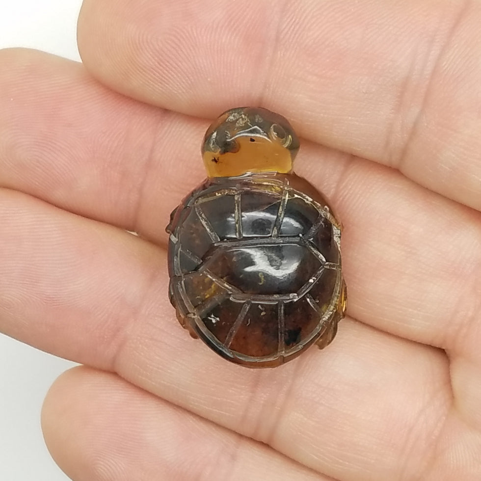 Carved Turtle in Amber - The Meteorite Traders