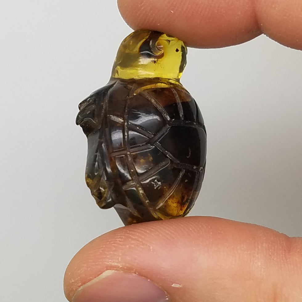 Carved Turtle in Amber - The Meteorite Traders