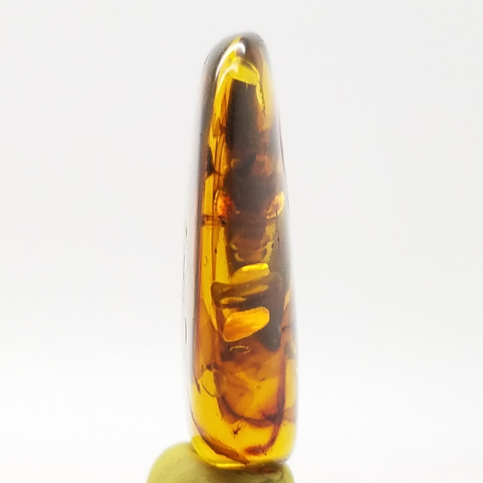 Polished Amber 15+ Insects and Inclusions - The Meteorite Traders