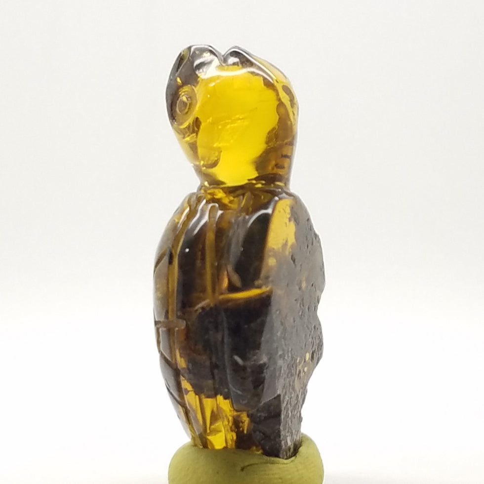 Carved Turtle in Amber - The Meteorite Traders