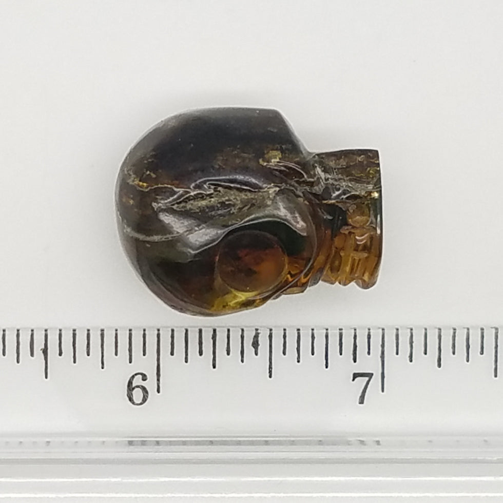 Carved Amber Skull - The Meteorite Traders