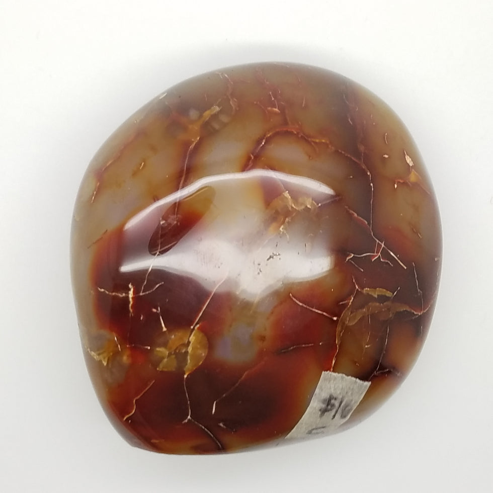 Carnelian Free Form Shape - The Meteorite Traders