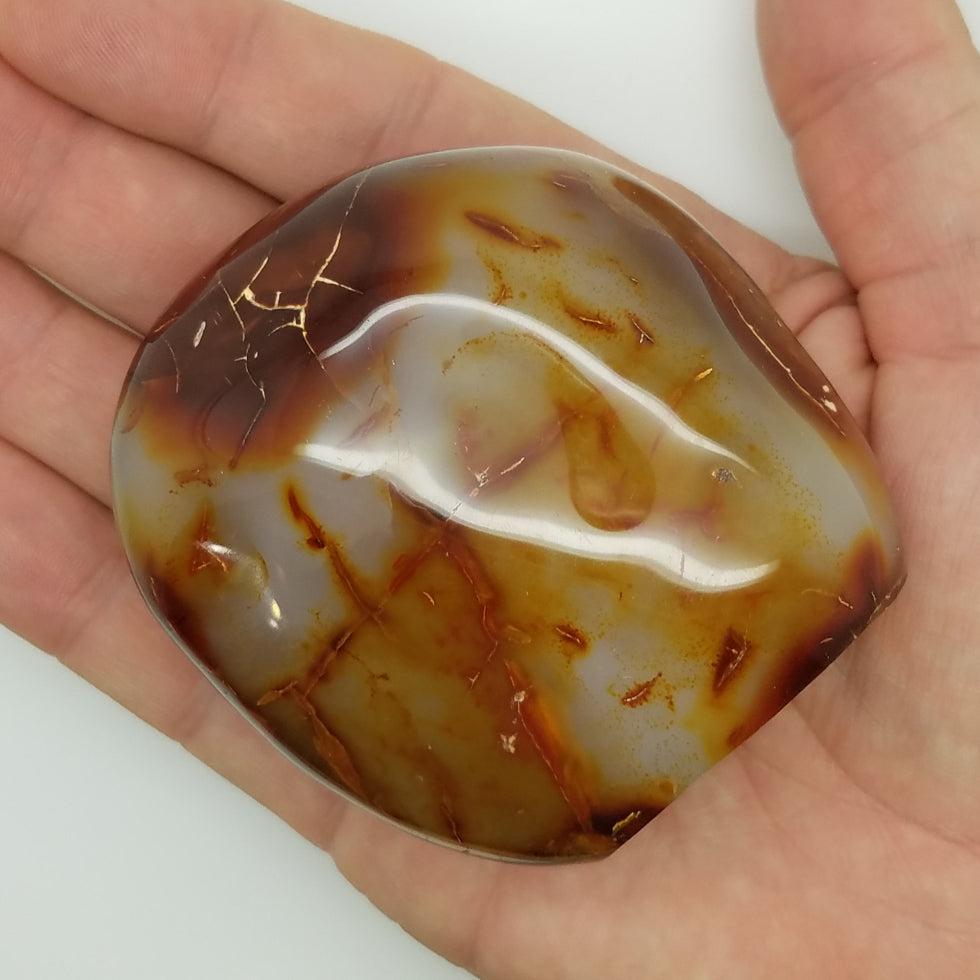 Carnelian Free Form Shape - The Meteorite Traders