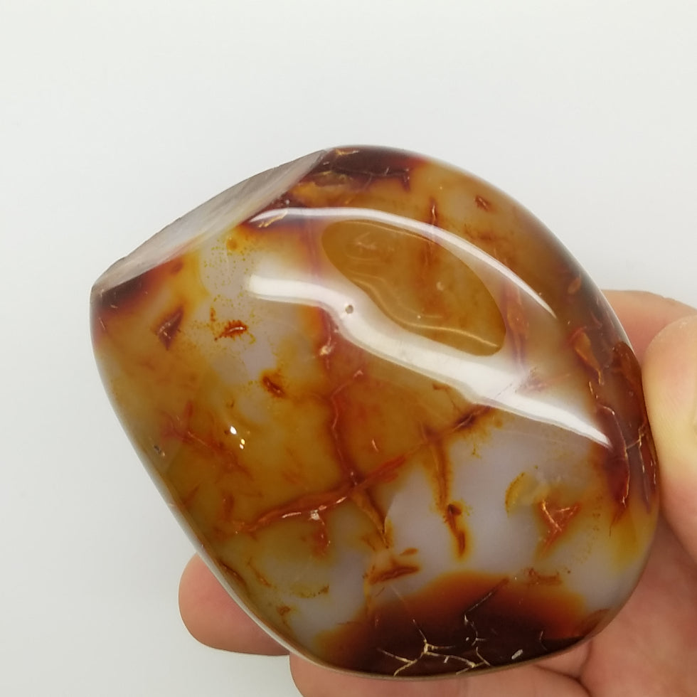 Carnelian Free Form Shape - The Meteorite Traders