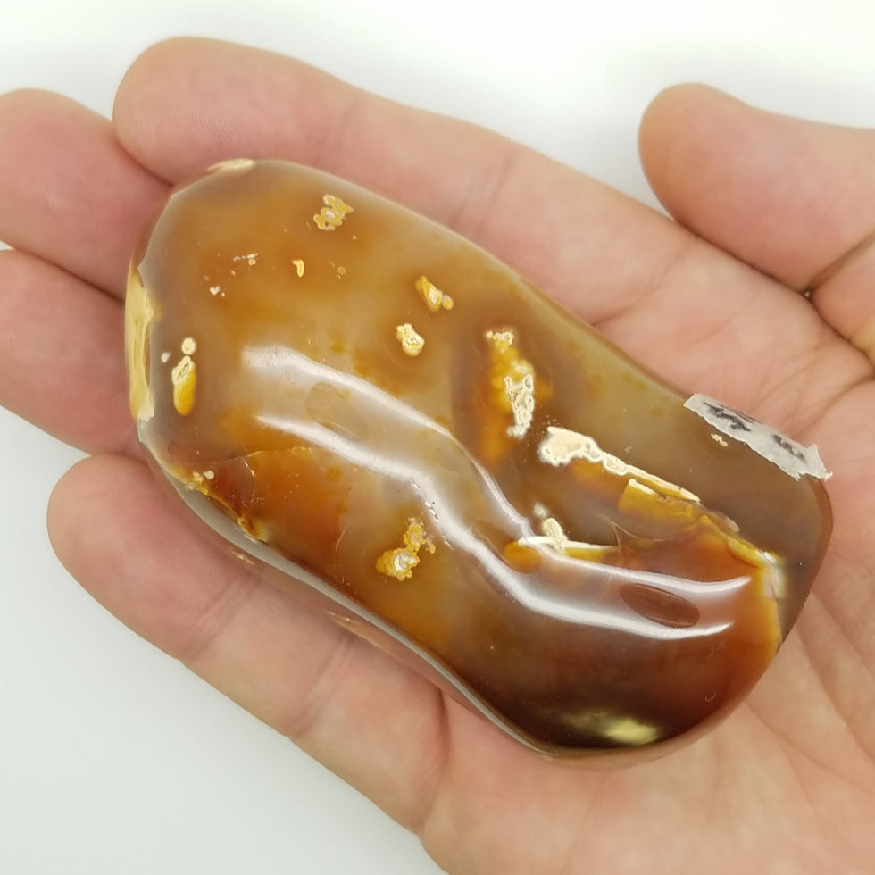 Carnelian Free Form Shape - The Meteorite Traders