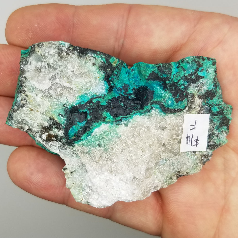 Chrysocolla Specimen