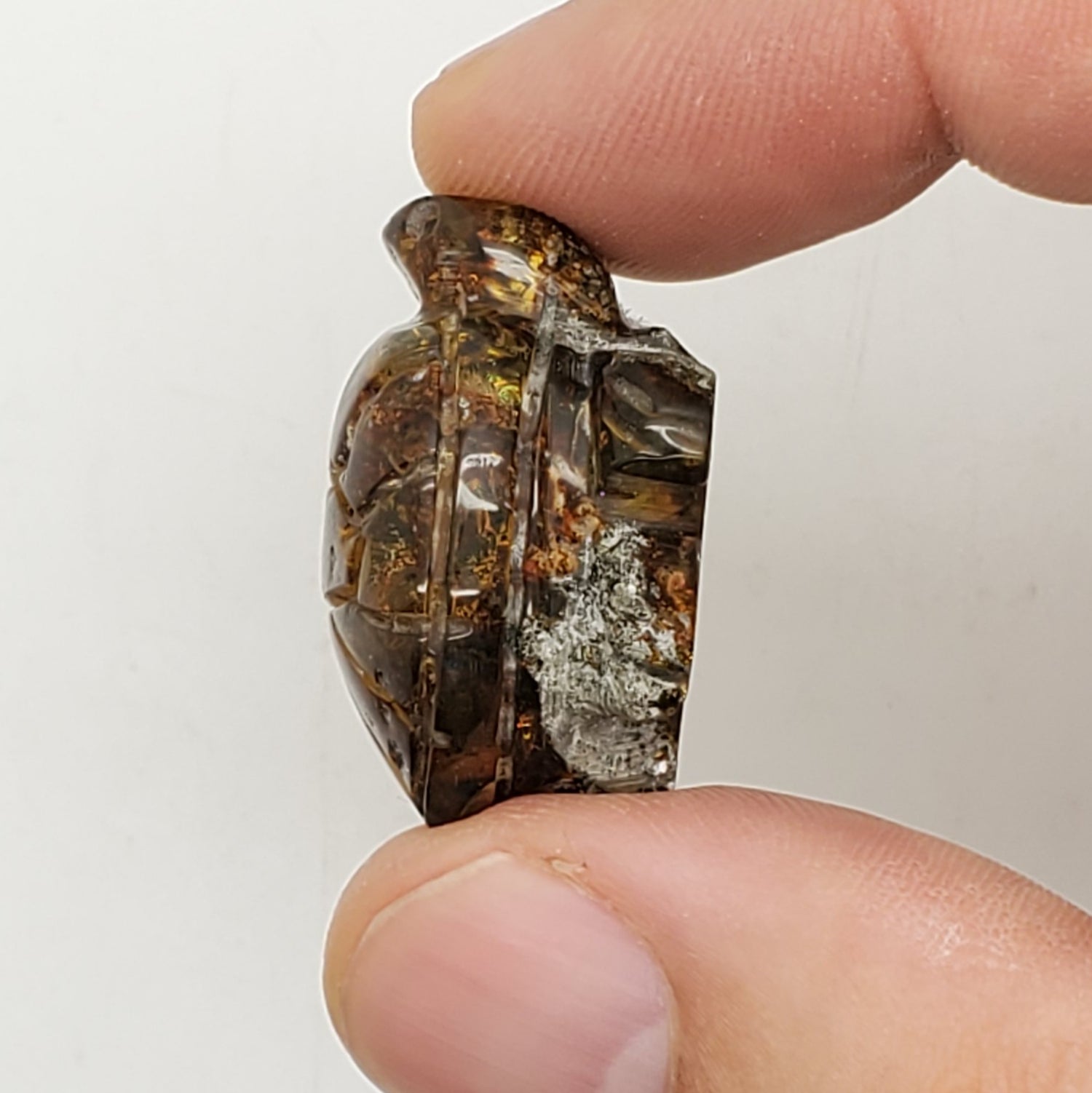 Turtle carving amber uv