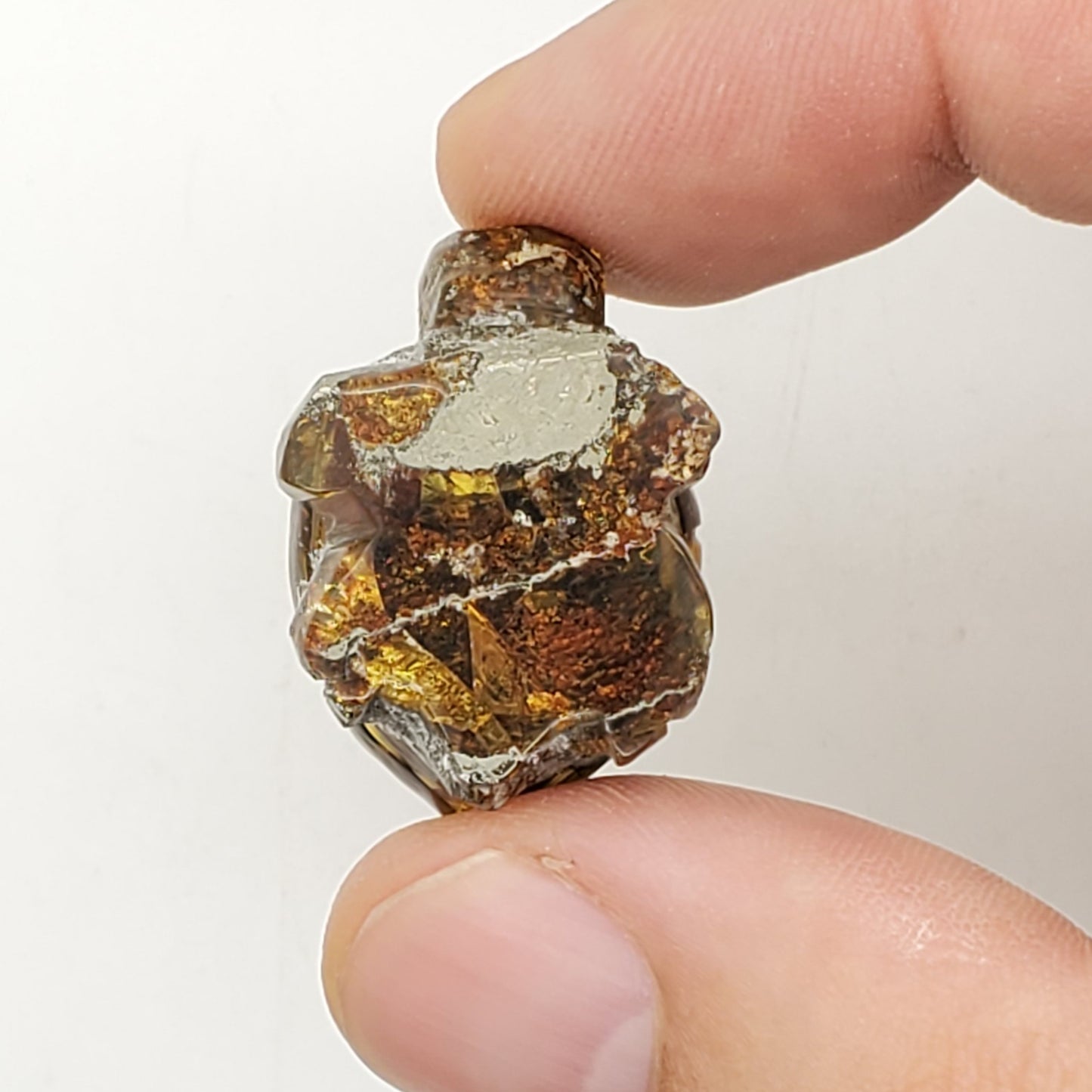 Turtle carving amber uv