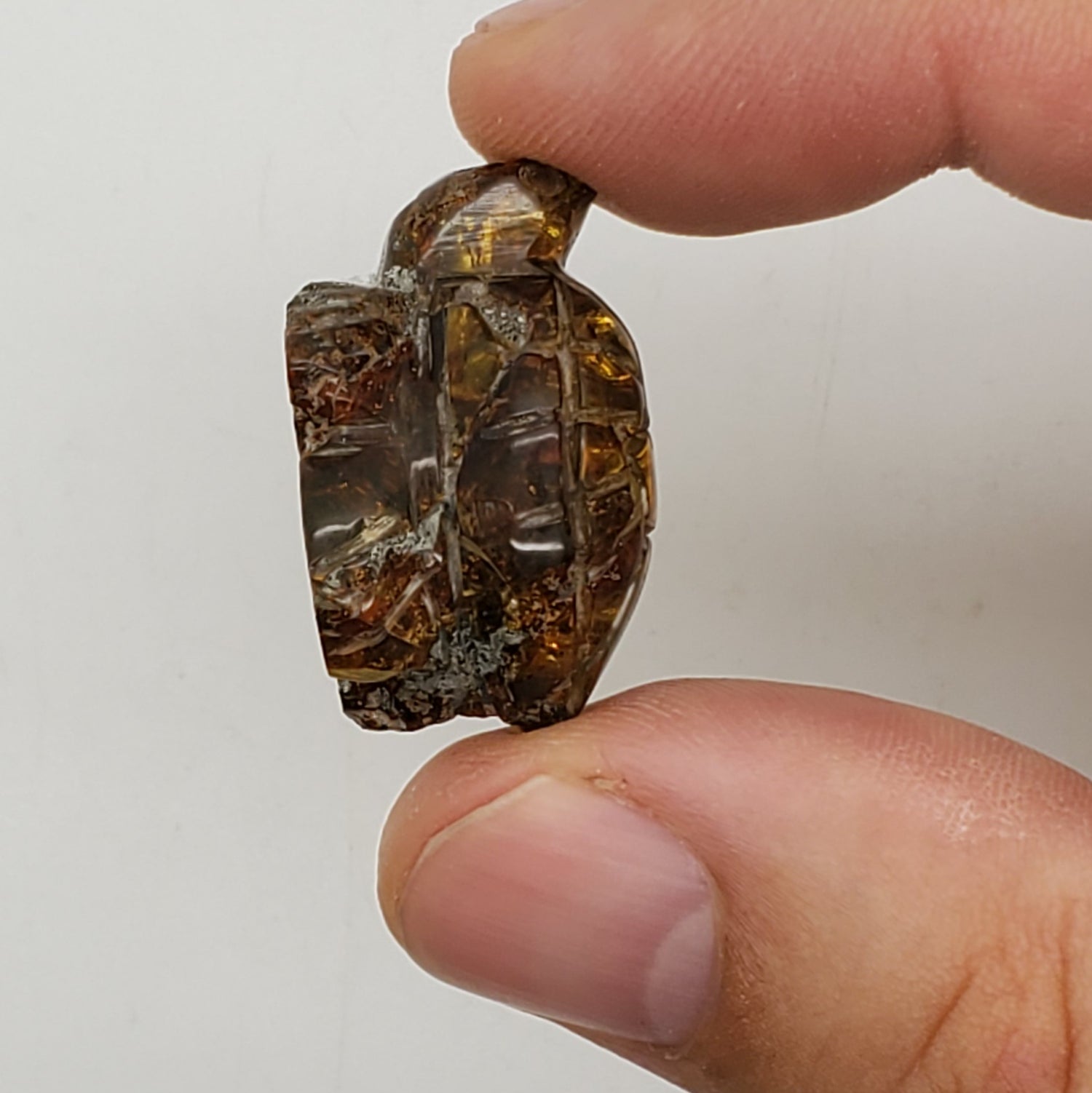 Turtle carving amber uv