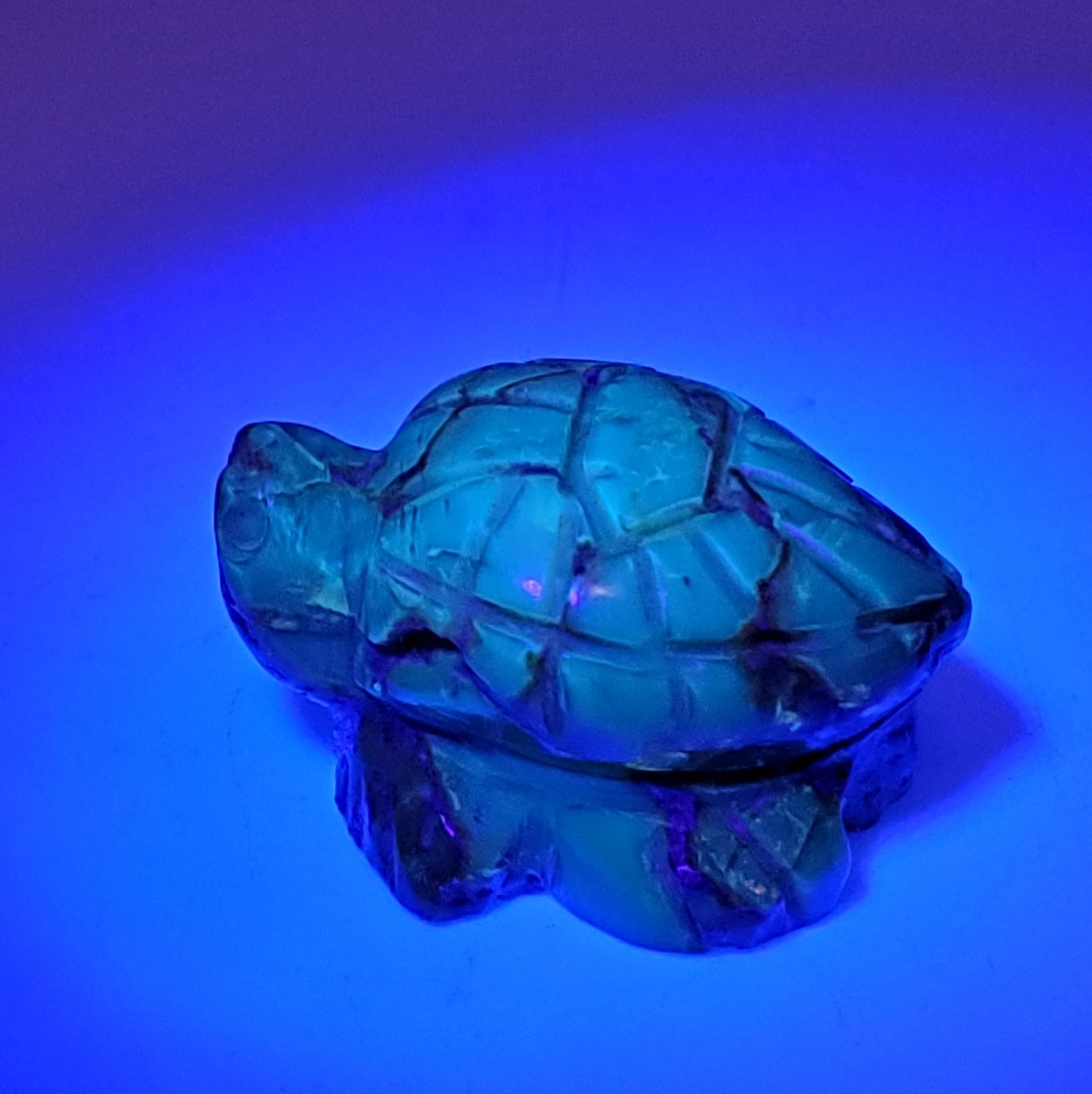 Turtle carving amber uv