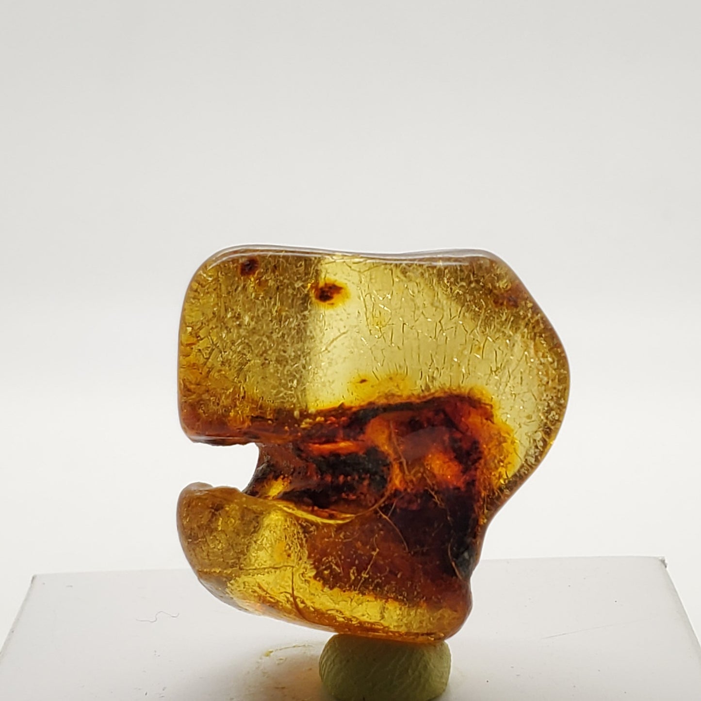 Baltic Amber Specimen