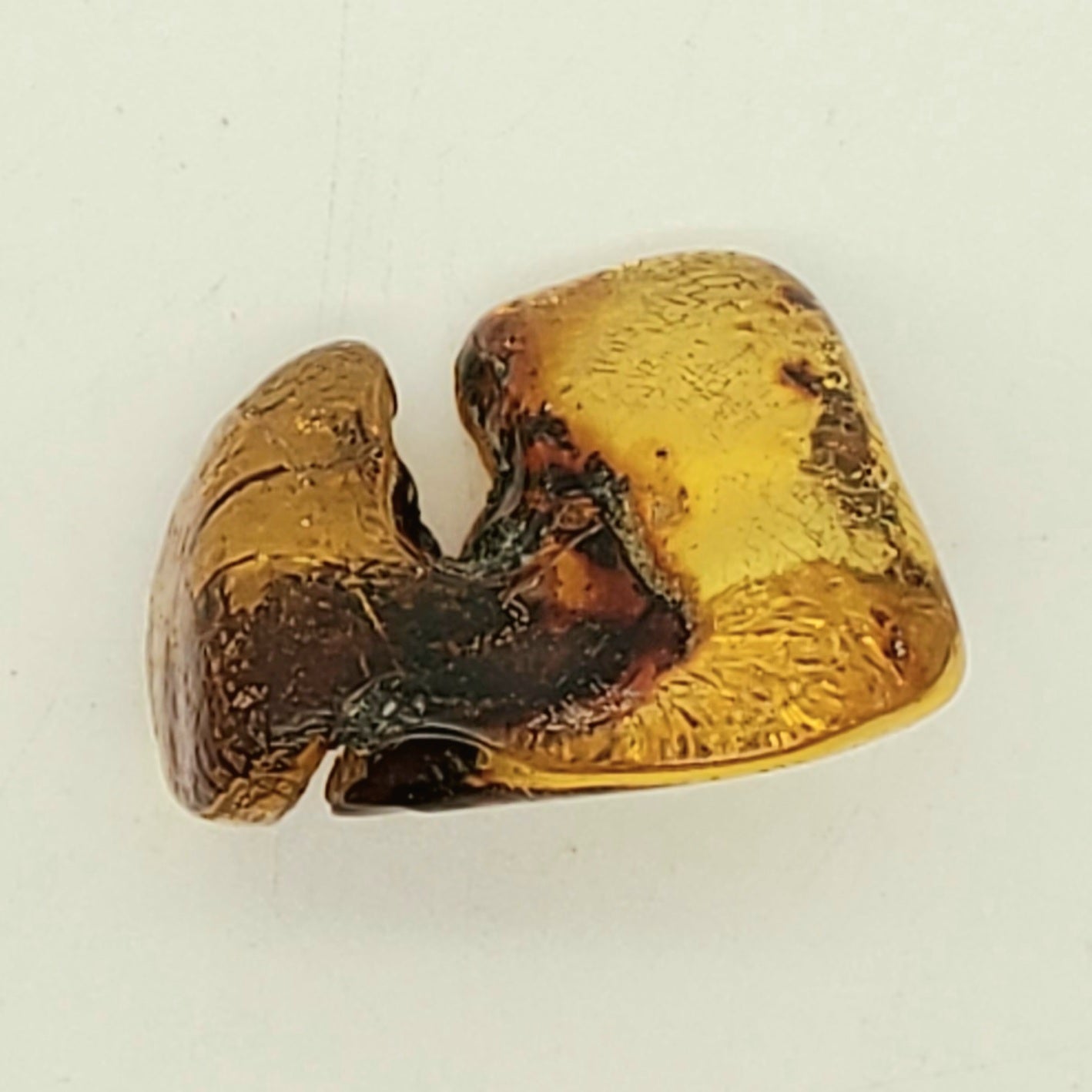 Baltic Amber Specimen