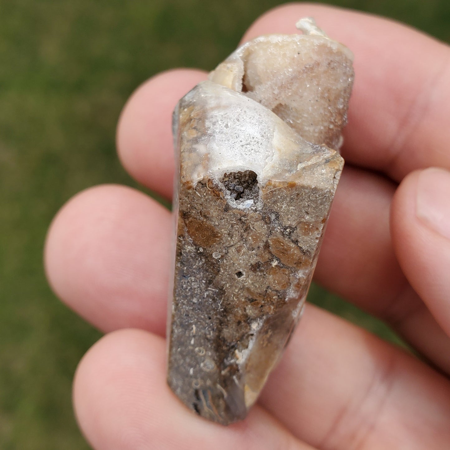Spiralite Aura Fossil Pendant