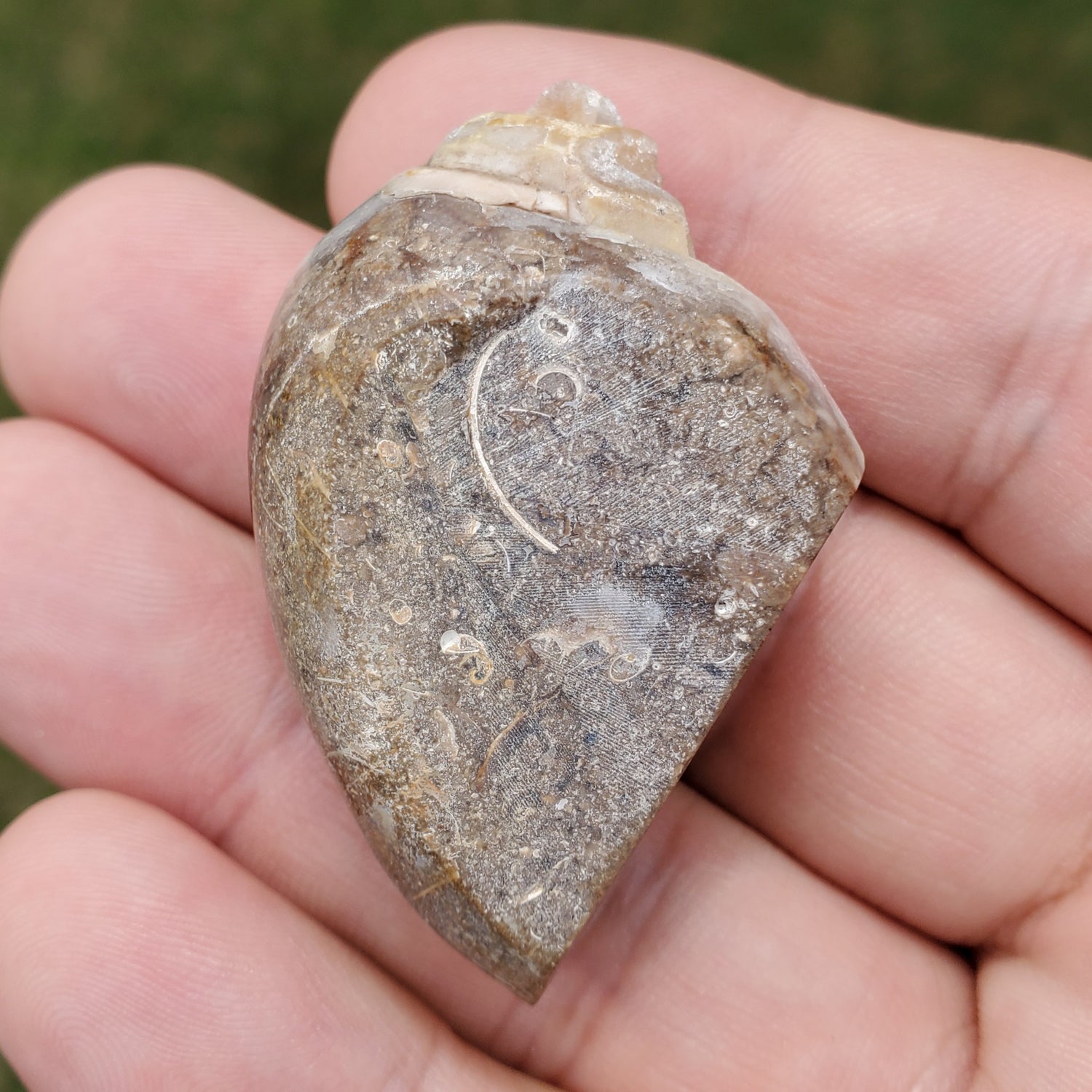 Spiralite Aura Fossil Pendant