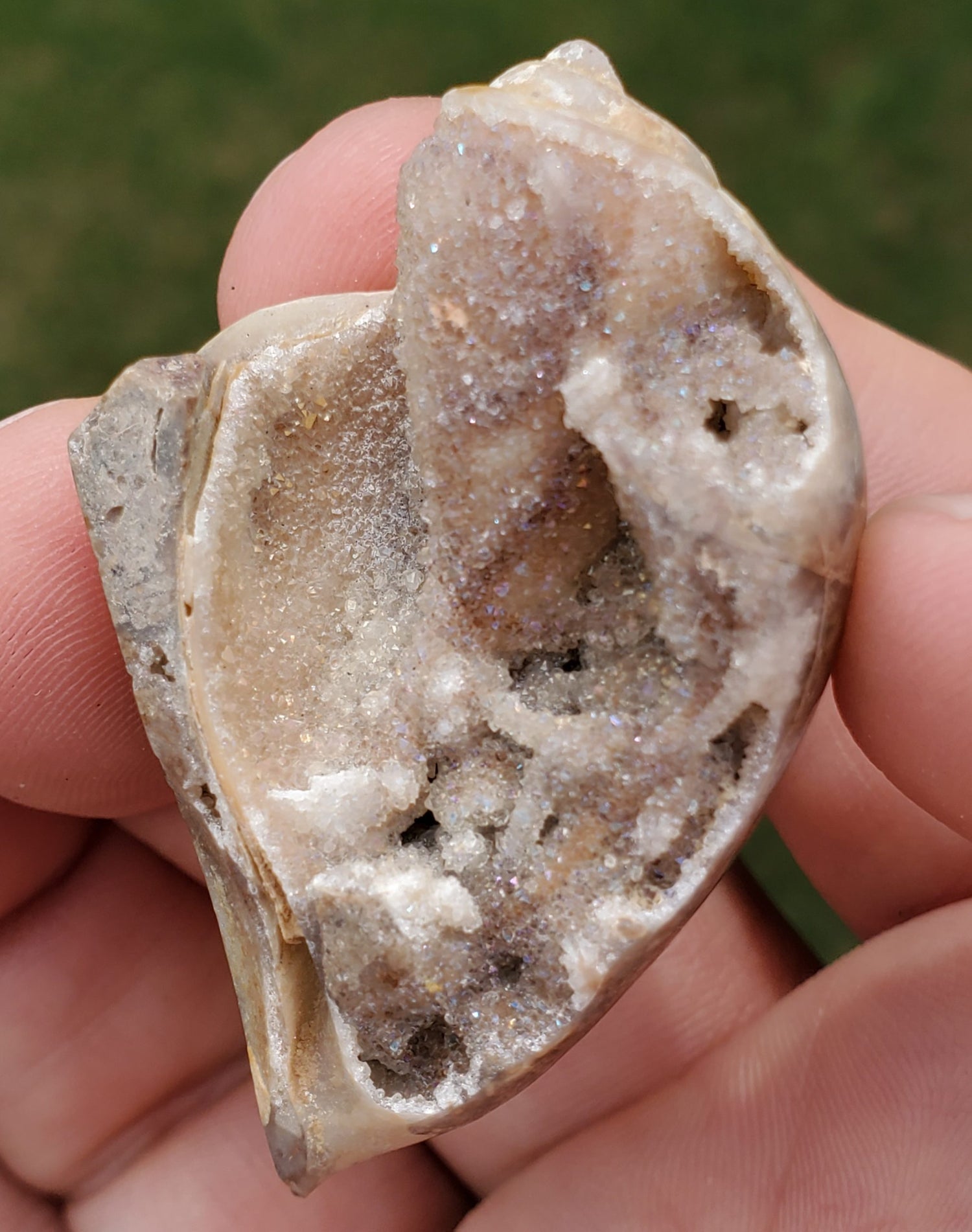 Spiralite Aura Fossil Pendant
