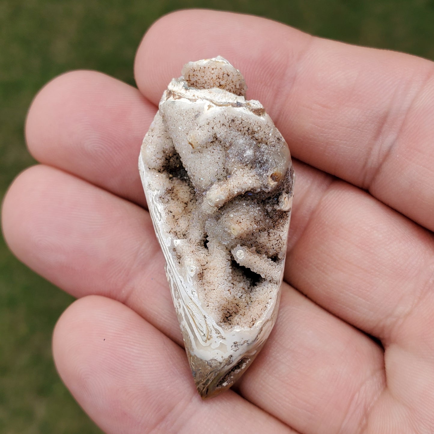 Spiralite Aura Fossil Pendant