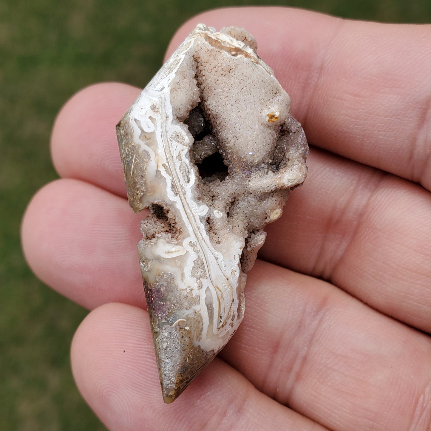 Spiralite Rainbow Aura Fossil