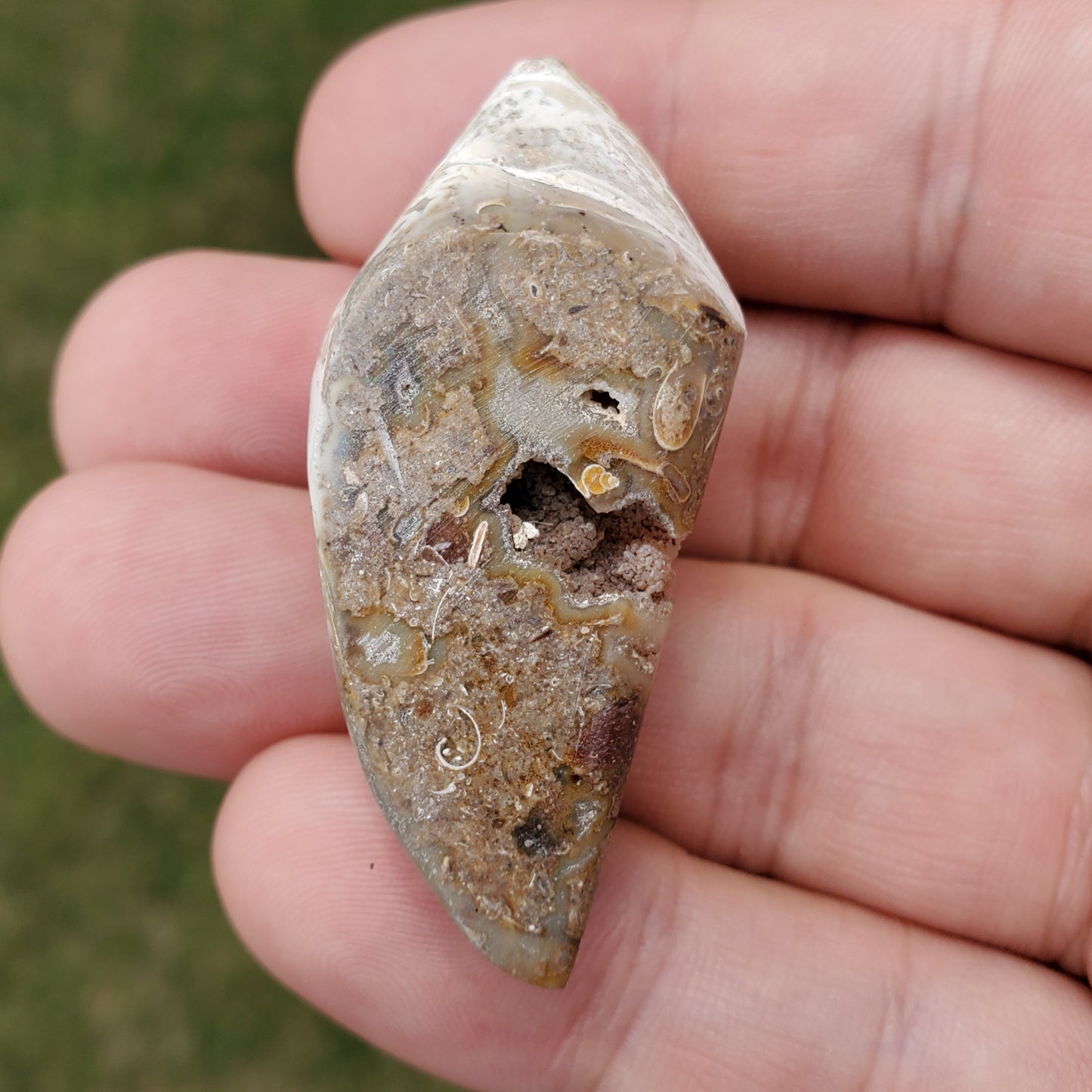 Spiralite Aura Fossil Pendant