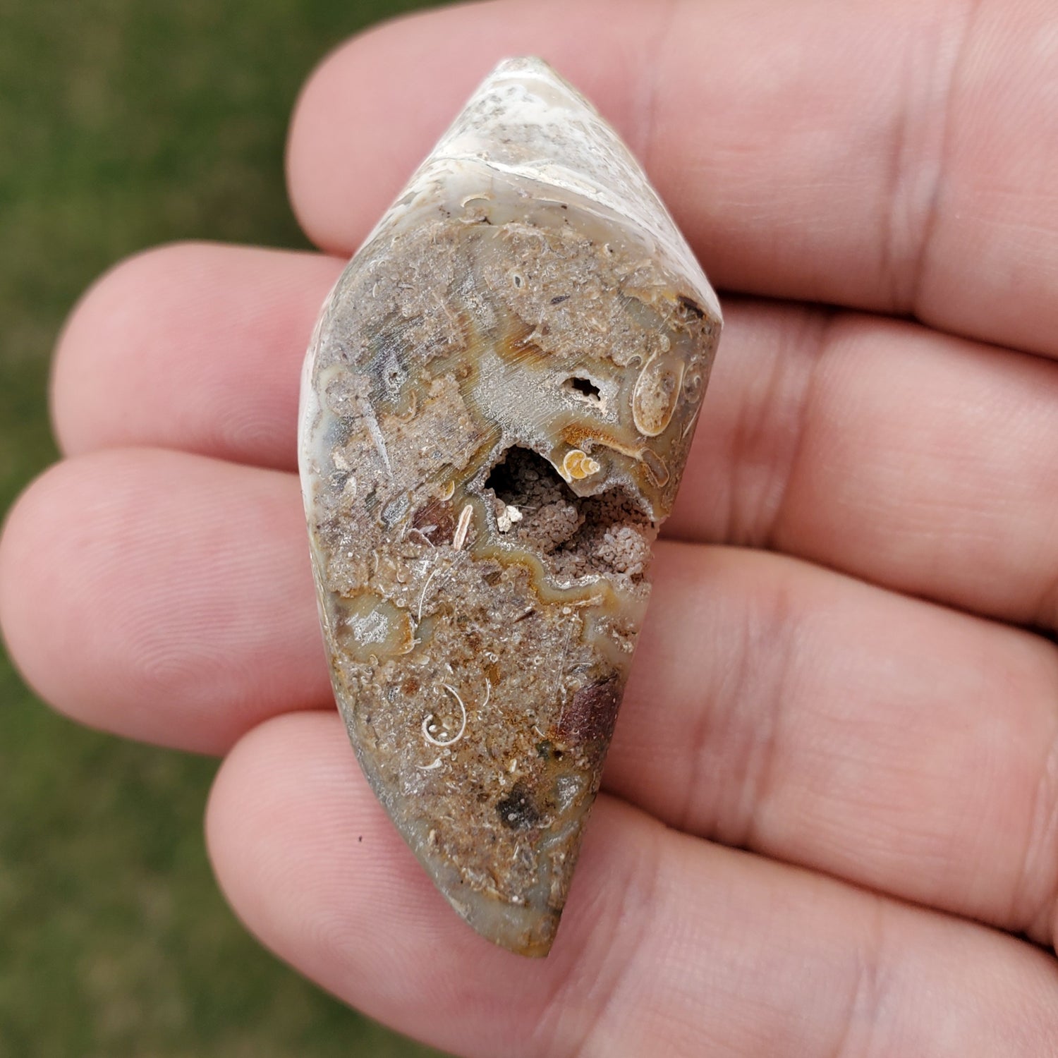 Spiralite Aura Fossil Pendant