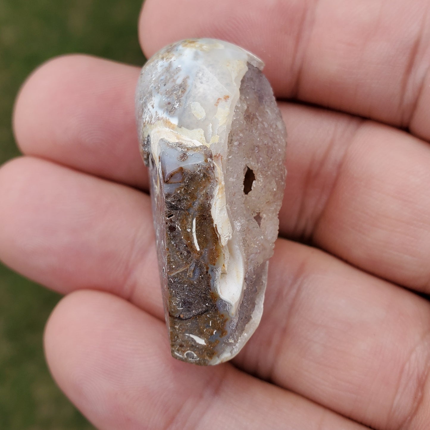 Spiralite Rainbow Aura Fossil