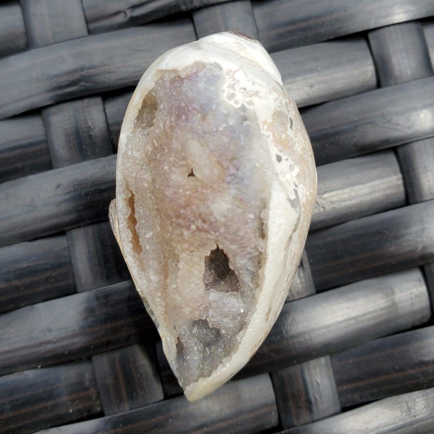 Spiralite Rainbow Aura Fossil