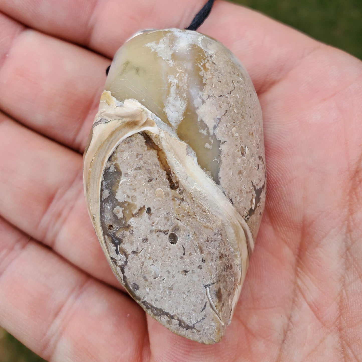 Spiralite Aura Fossil Pendant