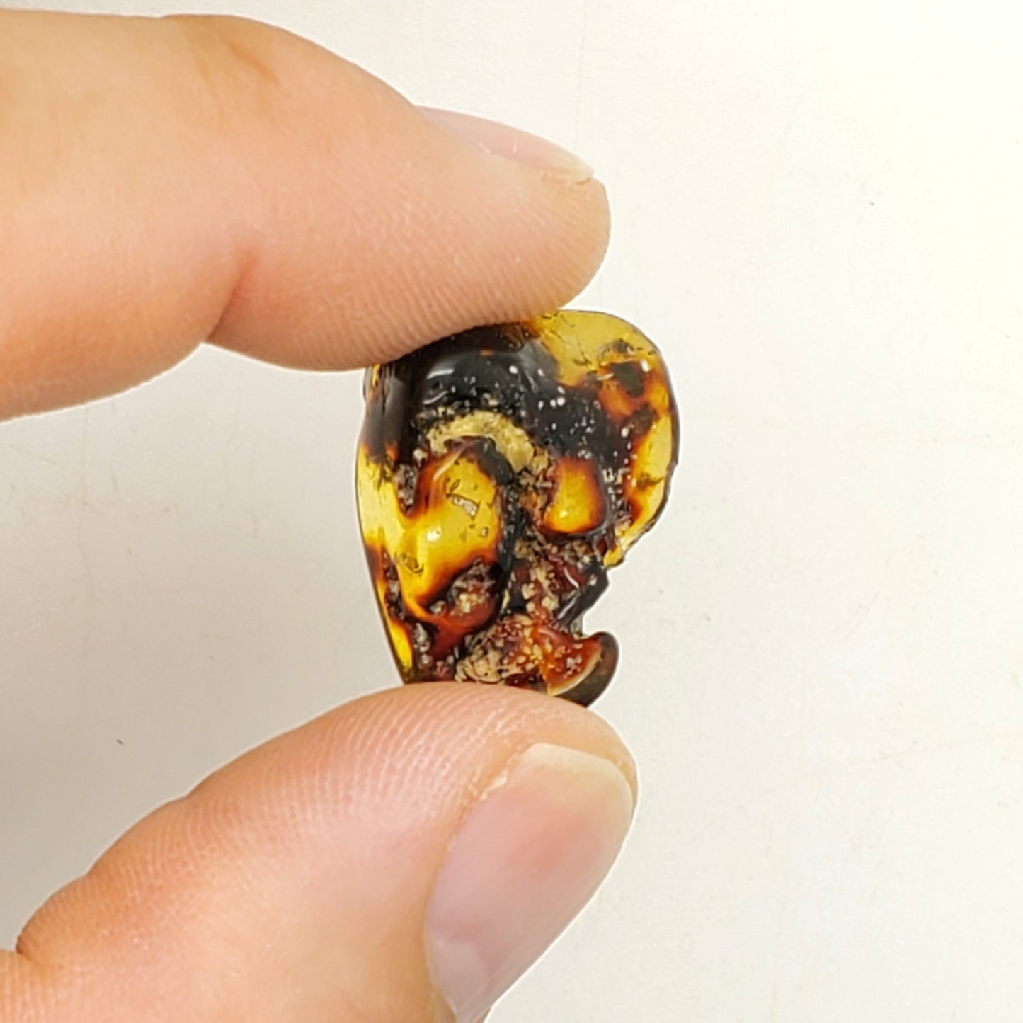 Baltic Amber Specimen