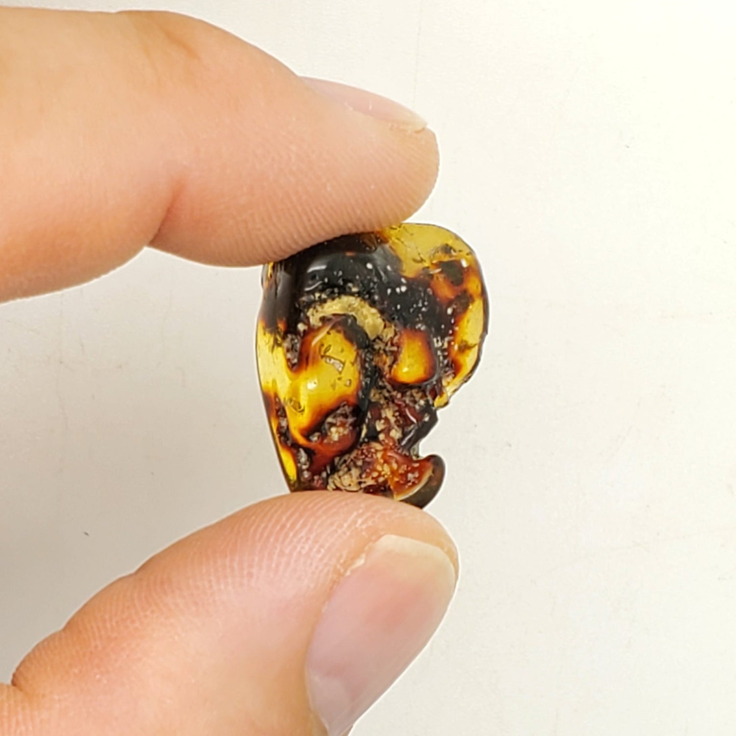 Baltic Amber Specimen