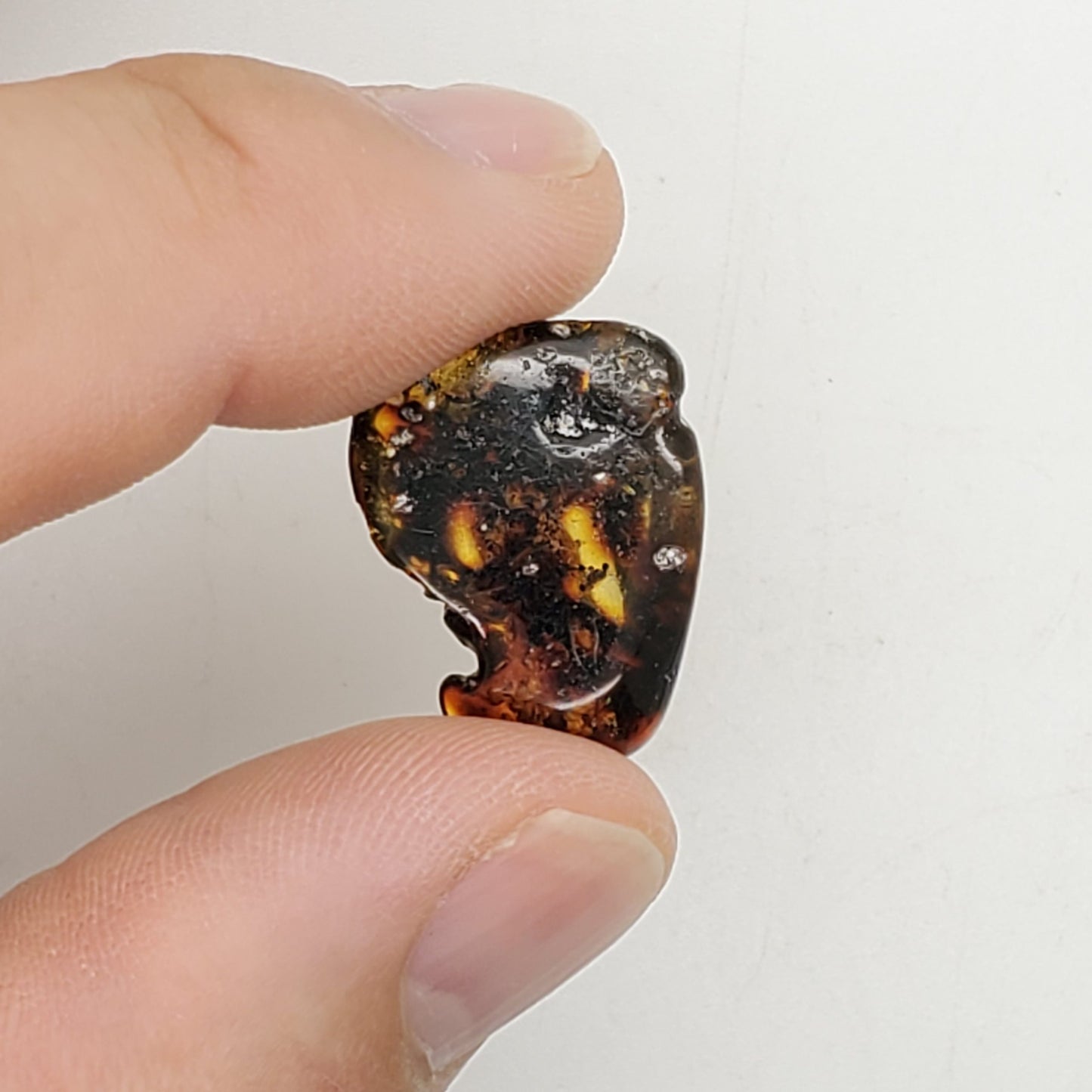 Baltic Amber Specimen