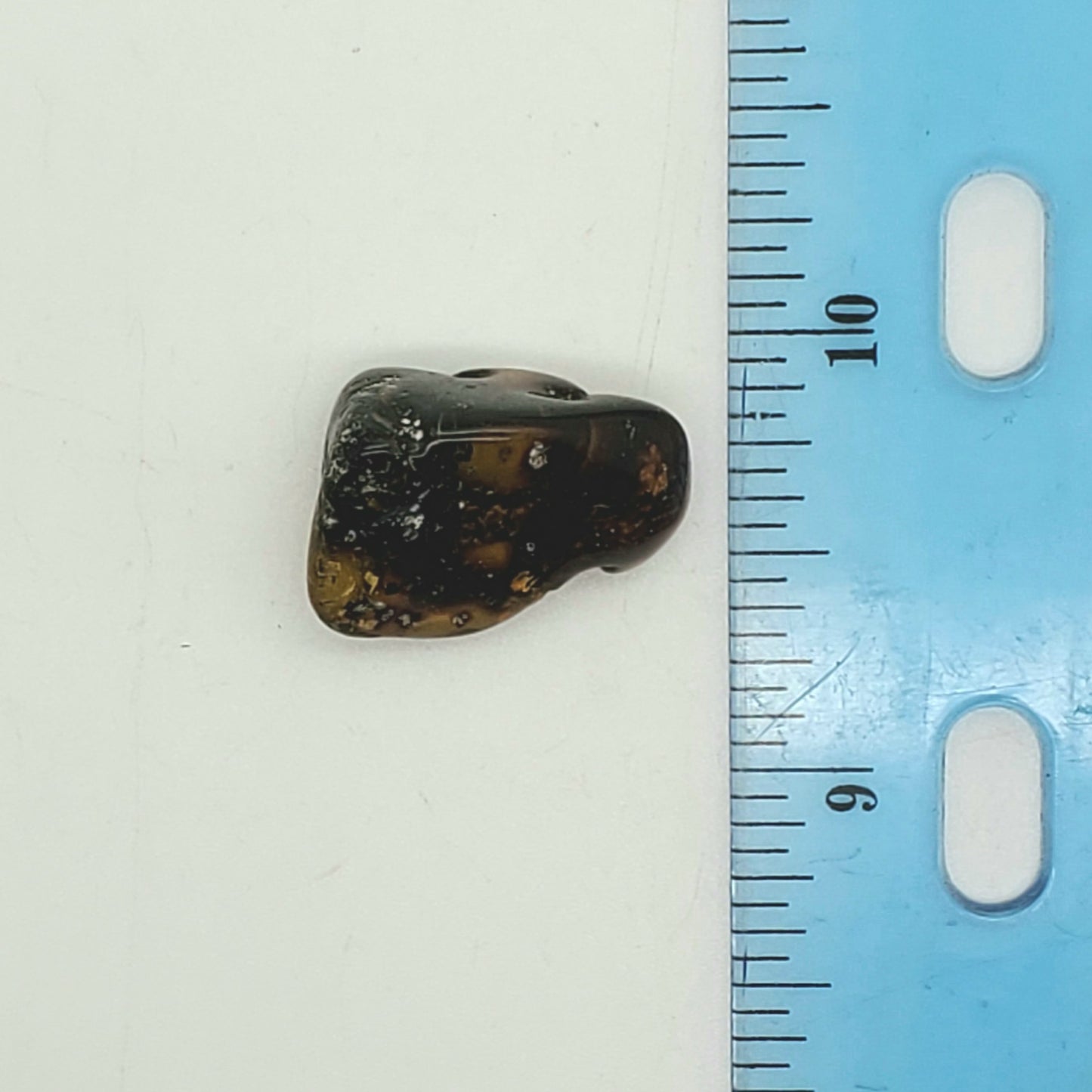 Baltic Amber Specimen