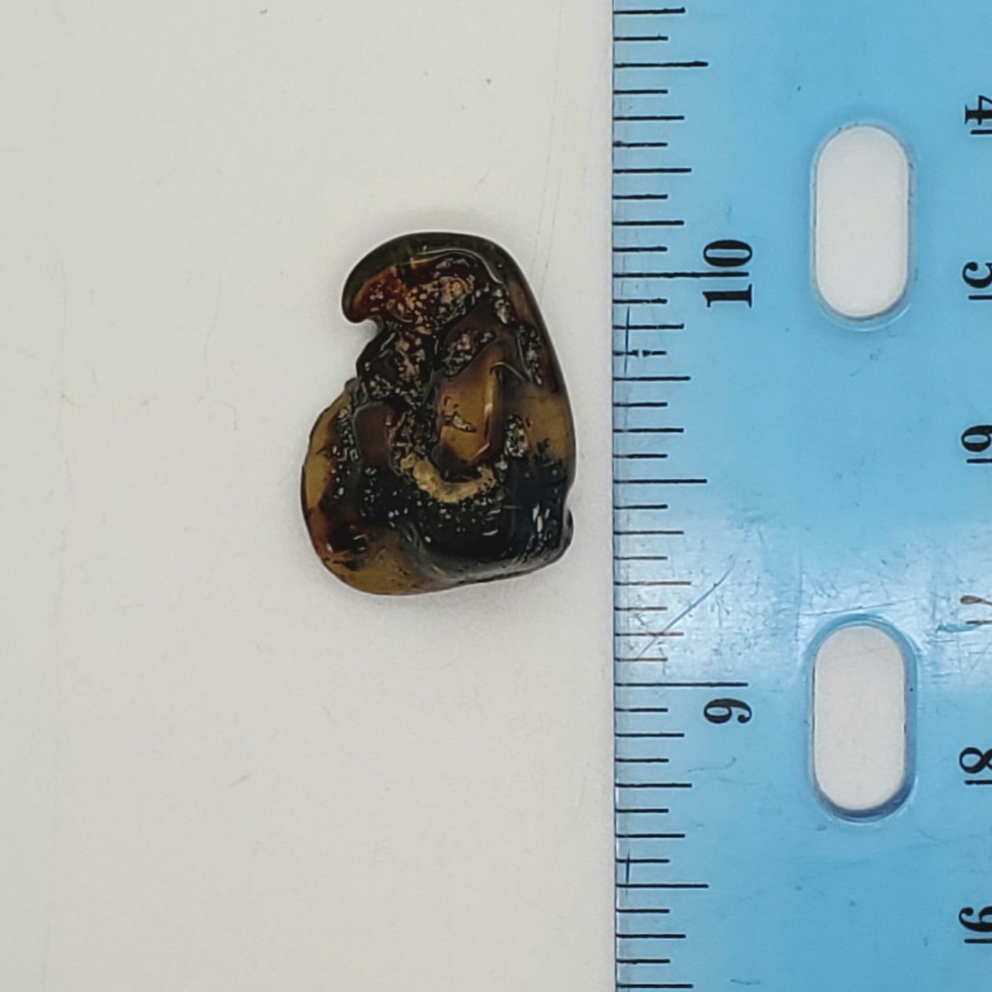 Baltic Amber Specimen