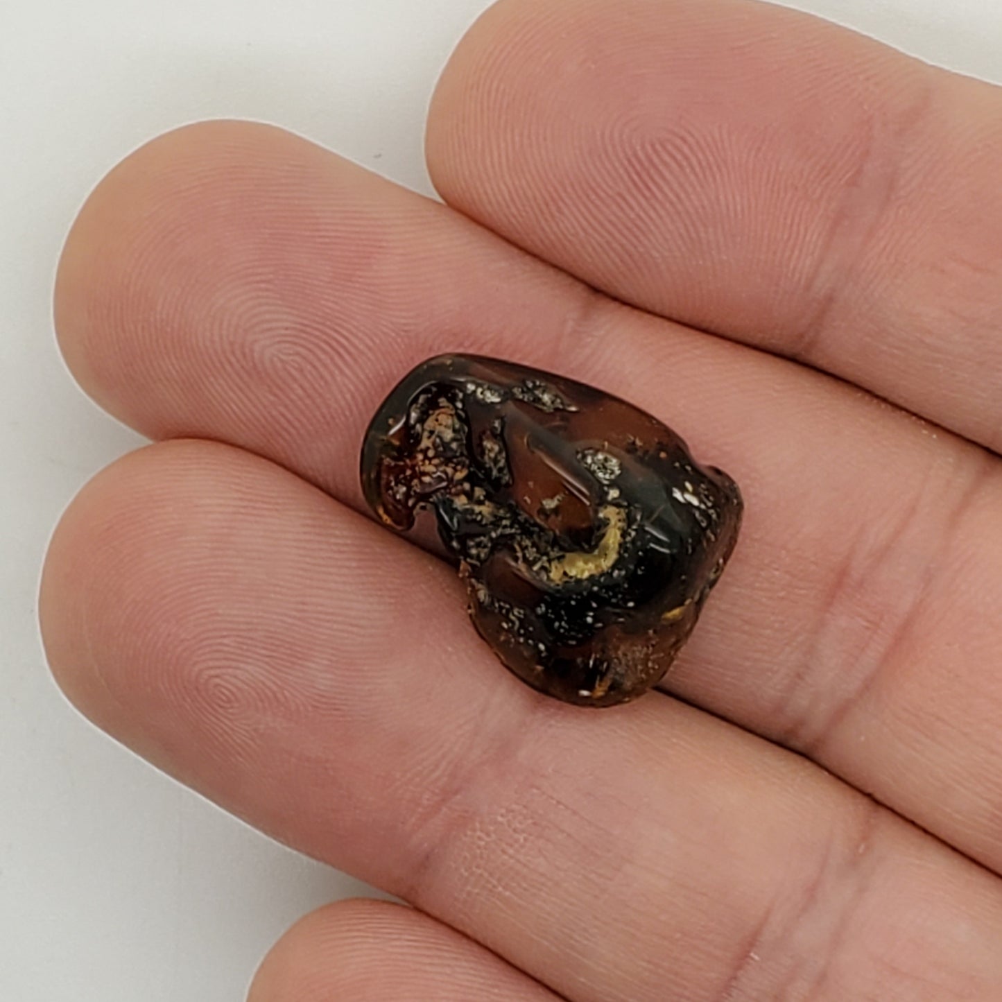 Baltic Amber Specimen