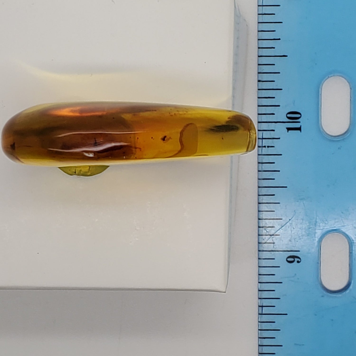 Colombian Amber Specimen with bugs included