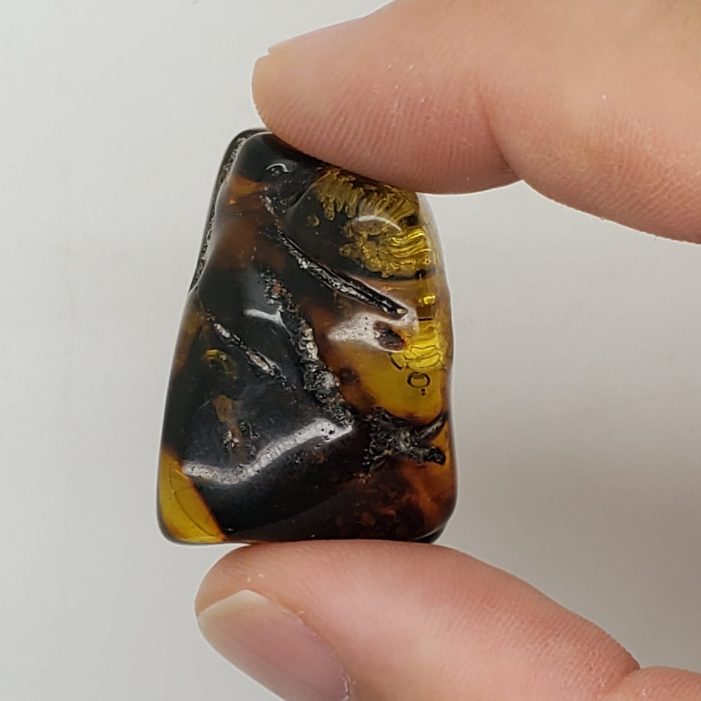 Baltic Amber Specimen