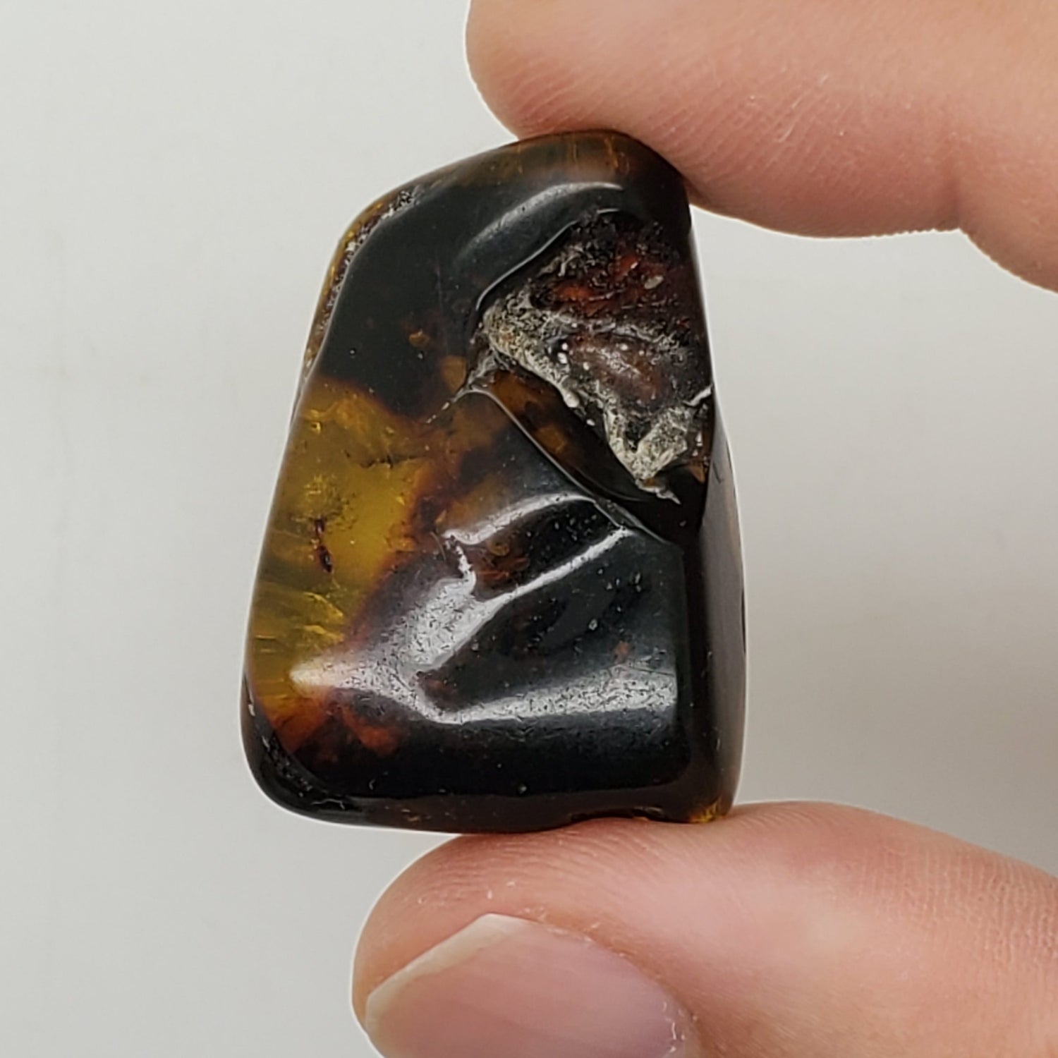Baltic Amber Specimen