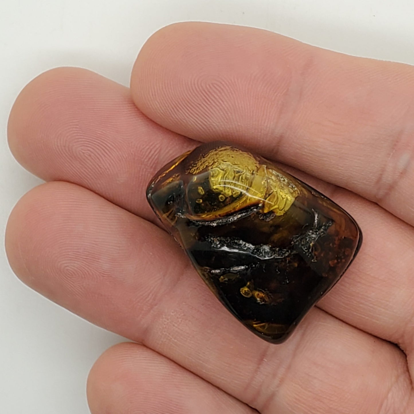 Baltic Amber Specimen