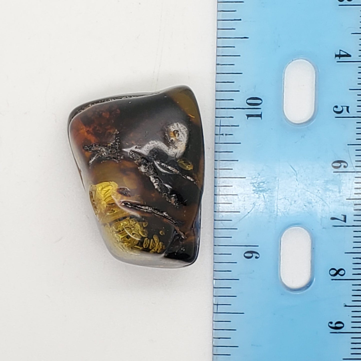 Baltic Amber Specimen