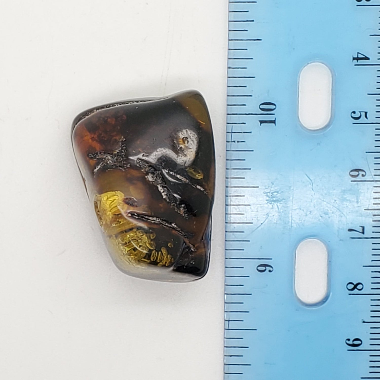 Baltic Amber Specimen