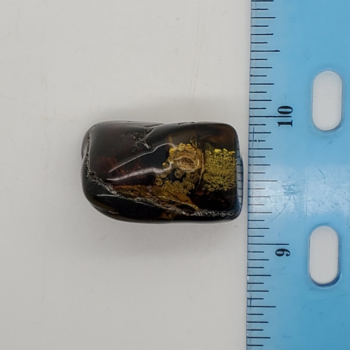 Baltic Amber Specimen