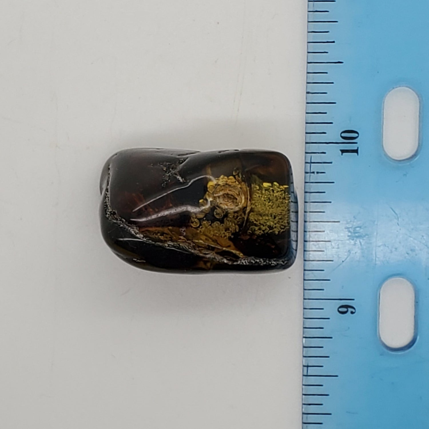 Baltic Amber Specimen