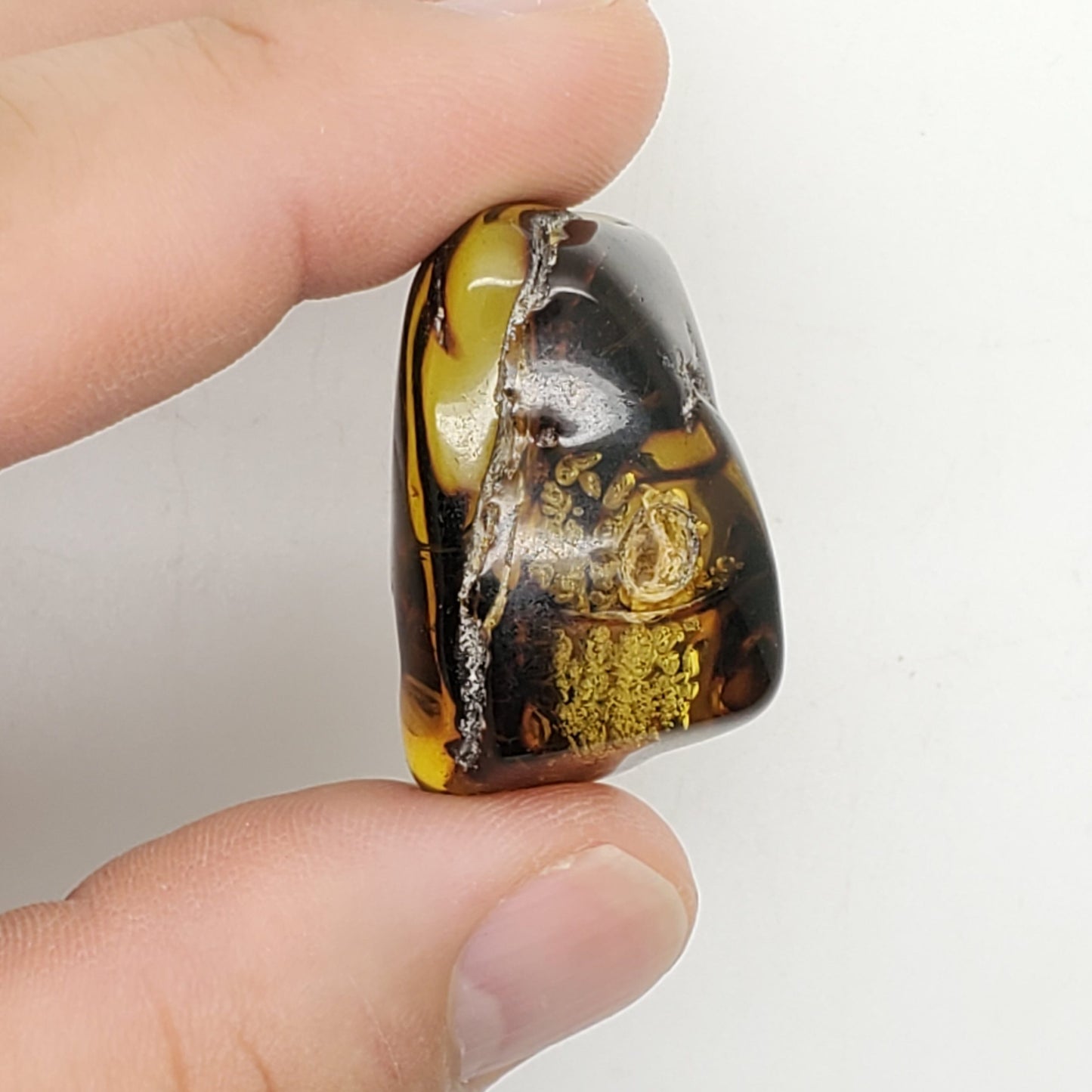 Baltic Amber Specimen