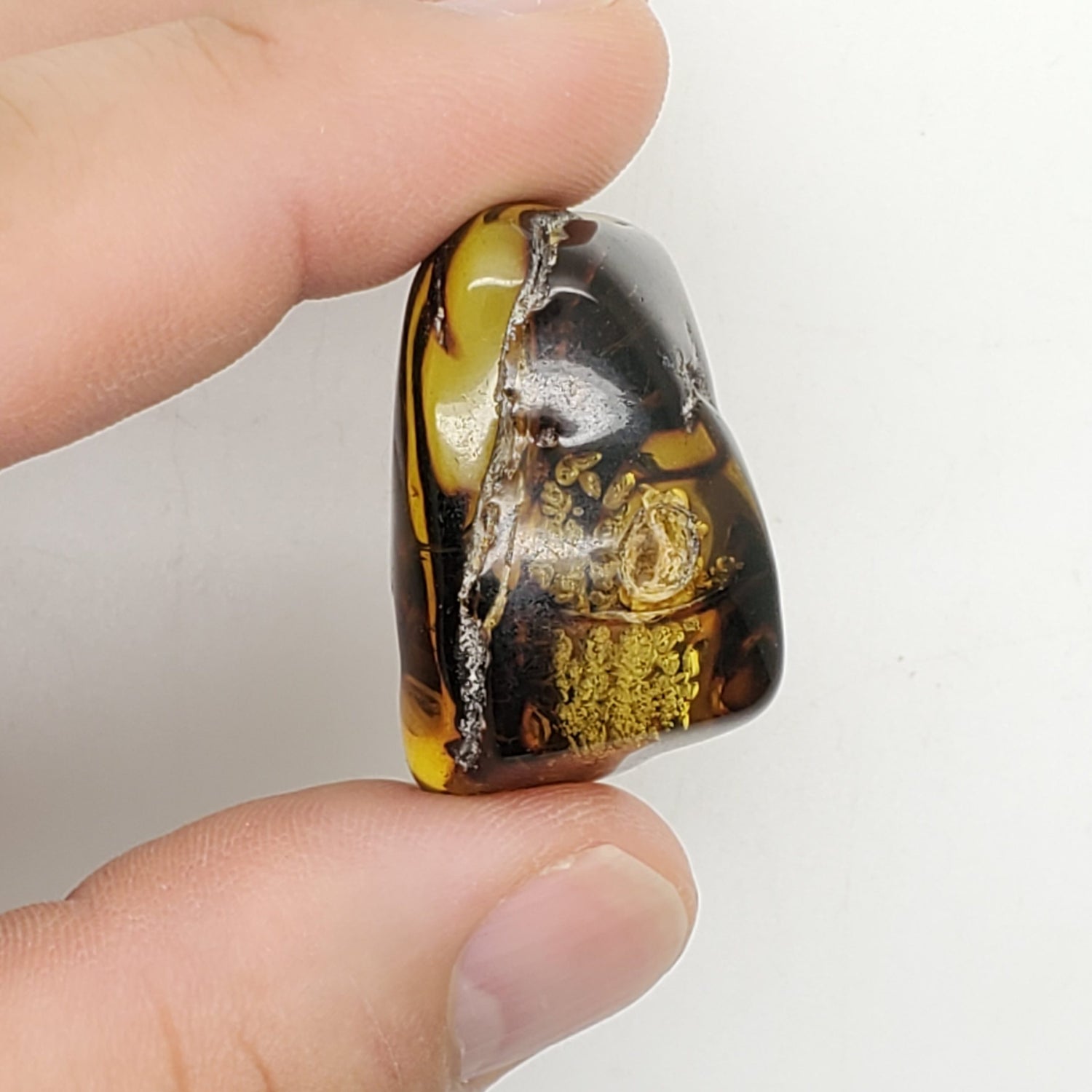 Baltic Amber Specimen