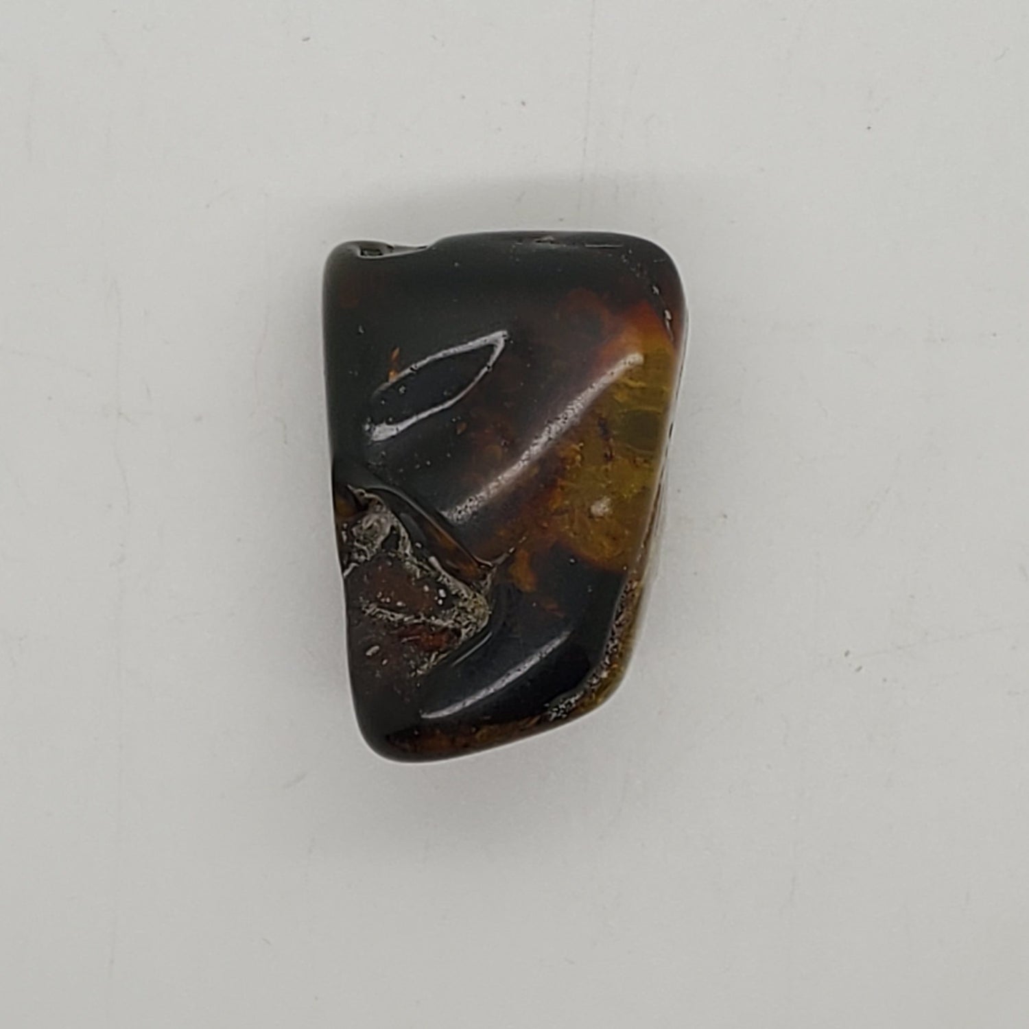 Baltic Amber Specimen